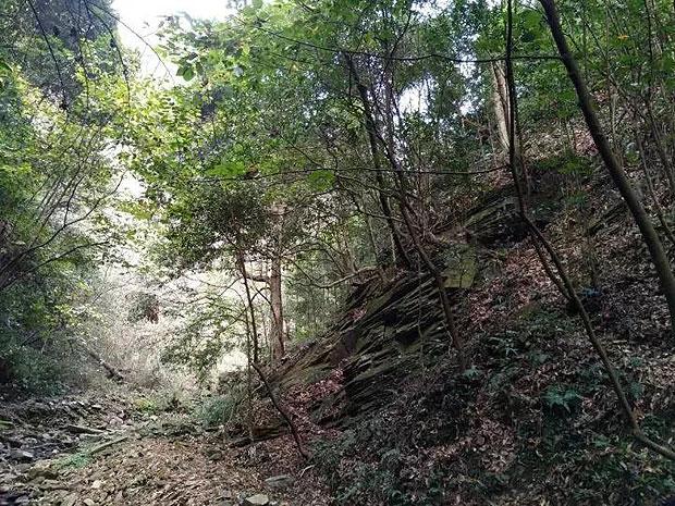 短短10年间,南非从巅峰彻底跌落,看下曼德拉到底干了什么?